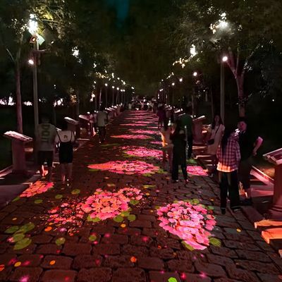 Καλή τιμή Εξωτερική Διαδραστική Προβολή Εμπειρία Γη Προβολή Immersive Προβολή σε απευθείας σύνδεση
