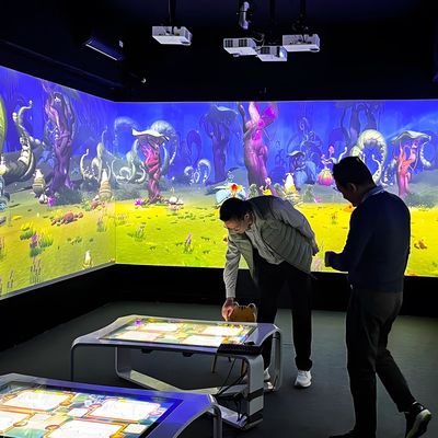 Καλή τιμή 3D AR Διαδραστική Σκάρωση Ζωγραφική Διαδραστική Στονίτιση Προβολή Λογισμικό Παιδιά Διαδραστικός Προβολέας Σχεδίαση Λαζερικός Προβολέας σε απευθείας σύνδεση