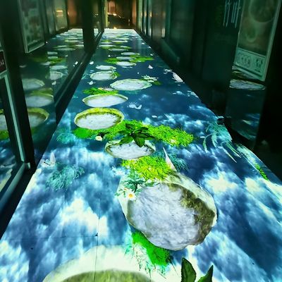 Καλή τιμή 3D Immersive Room Holographic Floor Διαδραστική προβολή για τουριστικό έργο σε απευθείας σύνδεση