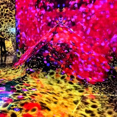 Καλή τιμή 3D εσωτερική Immersive Projection για το Ktv Bar Club Immersive Projection System σε απευθείας σύνδεση
