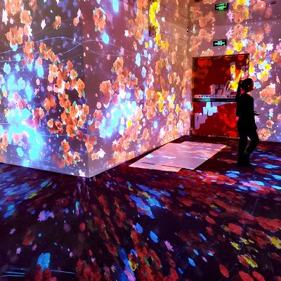 Καλή τιμή Εξοπλισμός εκθέσεων τέχνης Immersive Projector Indoor Interactive Projection σε απευθείας σύνδεση