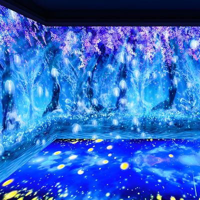 Καλή τιμή 3D Immersive Projector Immersive Experience Γήινη προβολή τοίχου για μουσείο σε απευθείας σύνδεση