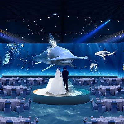 Καλή τιμή Εντός χώρου 3D Immersive Εστιατόριο Διαδραστική Ολογραφική Προβολή σε απευθείας σύνδεση
