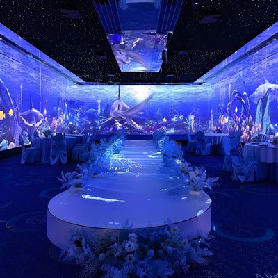 Καλή τιμή Πολλαπλή προβολή 3D Διαδραστικός Immersive Projector Ολογραφική προβολή σε απευθείας σύνδεση