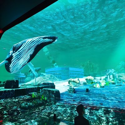 Καλή τιμή 3D HD Immersive Viewing LED Display Screen Κρεμαστικό γυαλί Ολόγραμμα Κινηματογράφο σε απευθείας σύνδεση