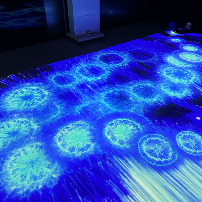 Καλή τιμή Portable Mobile Interactive Floor Projection System with 1280*800 Resolution and 110V-250V Voltage σε απευθείας σύνδεση